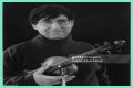 David Shapiro (musician)