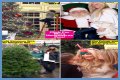 Exclusive: The 'Real Housewives' Personal Christmas Photos!