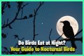 What eats bird food at night?
